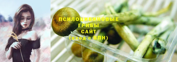 сатива Алзамай
