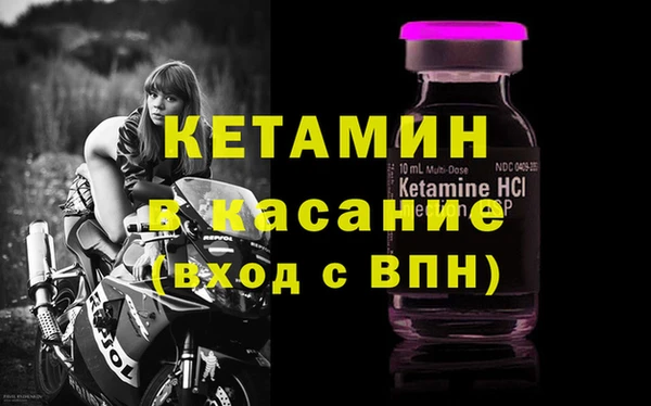 сатива Алзамай