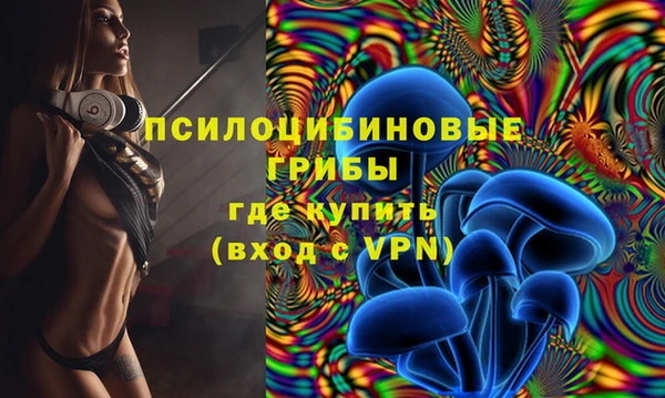 сатива Алзамай